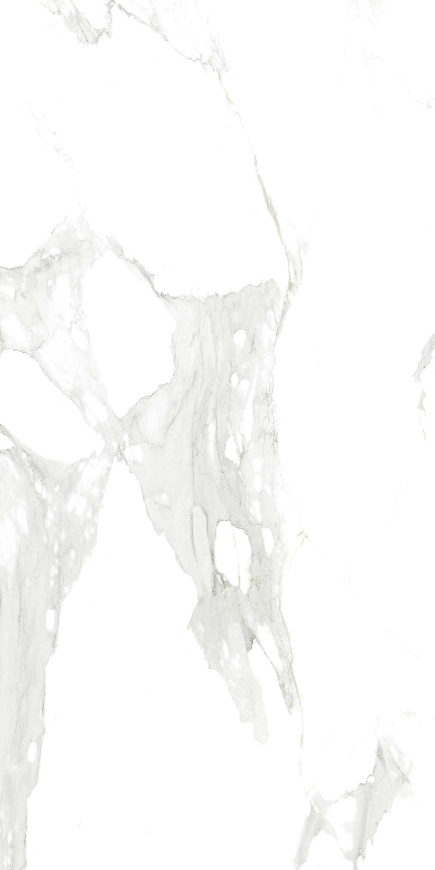 Porcelain Tile 60x120 Delicato Statuario (Glossy)