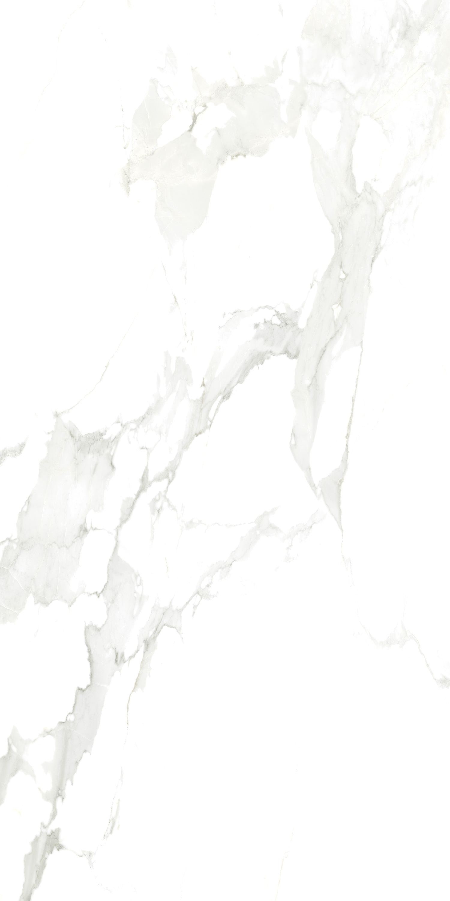 Porcelain Tile 60x120 Delicato Statuario (Glossy)