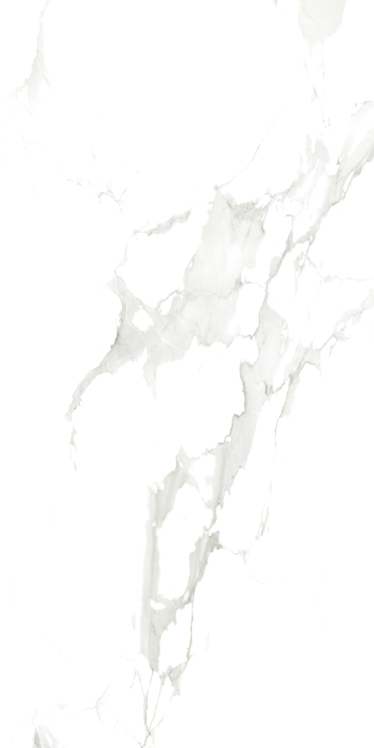 Porcelain Tile 60x120 Delicato Statuario (Glossy)